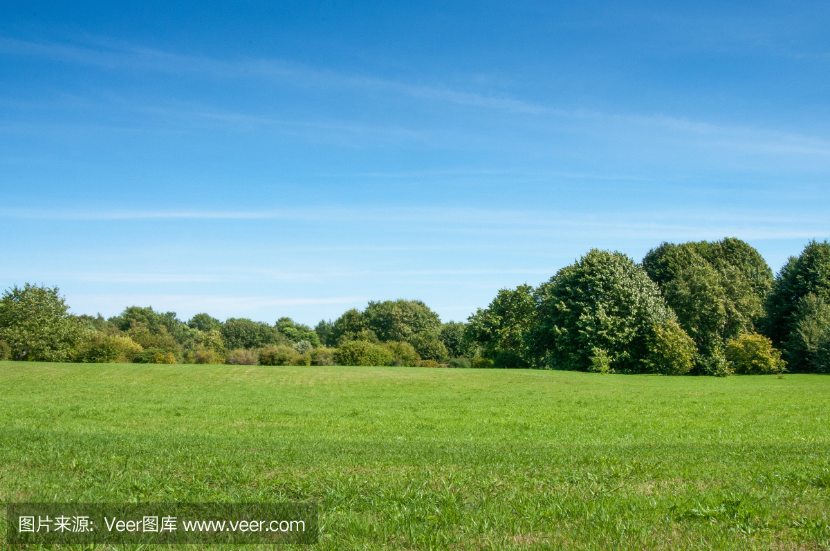 816fb85f96cf3a8ac54c1edee7b3bc71eb9d5e0ac2e55-xQLtHQ