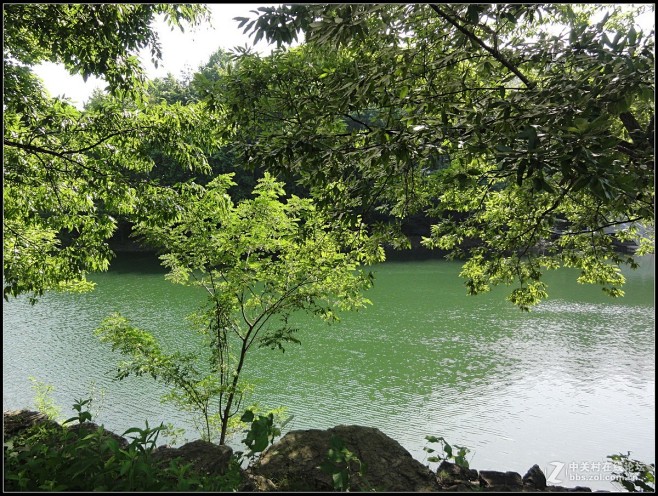 东庵森林公园 - 巢湖市风景图片特写第6...