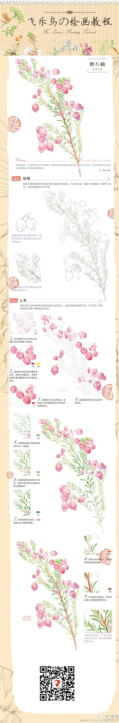 小小抠图仔采集到花色~绘画教程