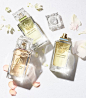 Introducing Jolie Fleur, a collection of floral fragrances from Tory Burch