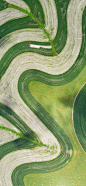 [2436×1125]田地 田野 绿色 农庄 农业 苹果手机壁纸图片