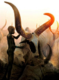 Watusi Cattle. The giant horns are not only defensive, but act as massive heat exchangers in the hot air of Uganda. Blood vessels transfer heat from the body up into the horns where it is more easily radiated into the environment.