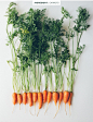 Pin by Cintia Soto on Food style photography | Pinterest