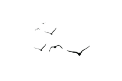 Horian_o采集到木箱设计方案