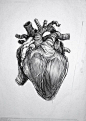 Illustration styles : Heart Sketch