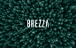 BREZZA眼镜框logo标志品牌设计案例参考分享欣赏