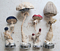 Textile Toadstools By Mister Finch | Flickr - 相片分享！