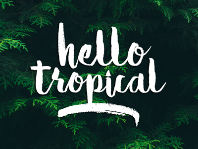 Hello Tropical Brush Script Typeface a handmade font awesome, new fresh modern script with a calligraphy style. Can used for any
