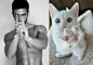 治愈系图片：男人和猫 (2)