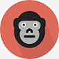 大猩猩图标免抠素材 免费下载 页面网页 平面电商 创意素材 png素材