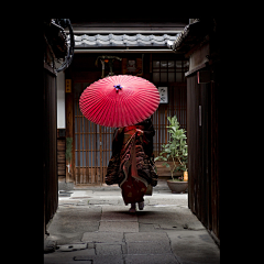 亥子女采集到日本