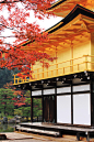 去年曾在那片灿烂里感叹，几乎忘记按下快门，忘记呼吸，只因为京都的红叶。 