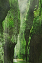 奥尼昂塔峡谷，哥伦比亚河，俄勒冈
Oneonta Gorge, Columbia River, Oregon