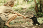 1964年，坦桑尼亚。在坦桑尼亚的冈贝河自然保护区，灵长类动物学家珍妮·古道尔（Jane Goodall）正在和一只幼年大猩猩亲密接触。