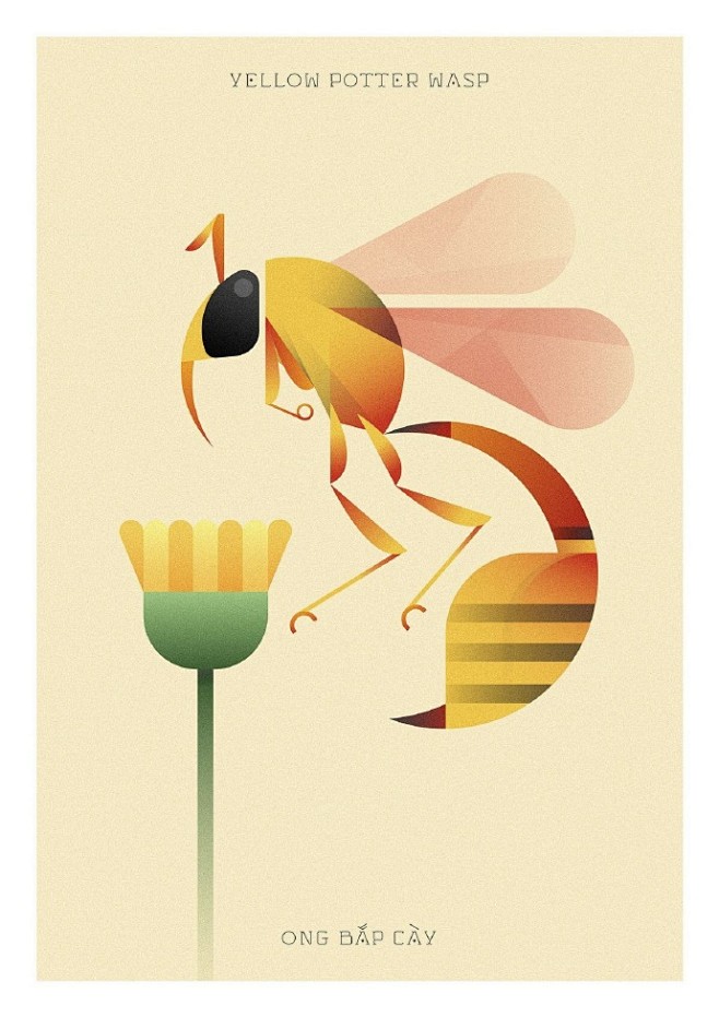 一组昆虫&动物海报 ​ ​​​​