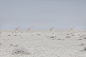 Photographer Maroesjka Lavigne Explores The Vast Solitude Of Namibia – iGNANT.de