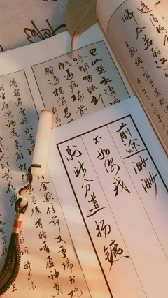 玛丽莲梦银采集到表达内心的文字