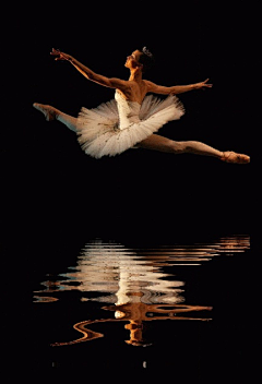 徐慧采集到芭蕾·舞蹈·图片