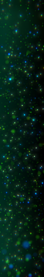 8K粒子大屏幕投影灯光秀萤火虫背景