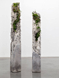 Sculptural Installations made of Concrete and Plants