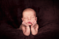 Little Fluffies : Newborn / Child Sessions | Portefolio