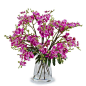 Modern Purple Orchid Faux Floral Arrangement in Glass Vase.  Free shipping!: 