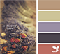 dried hues