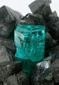 Beryl var. Emerald on Calcite - Coscuez Mine, near Muzo, Boyaca Dept., Colombia