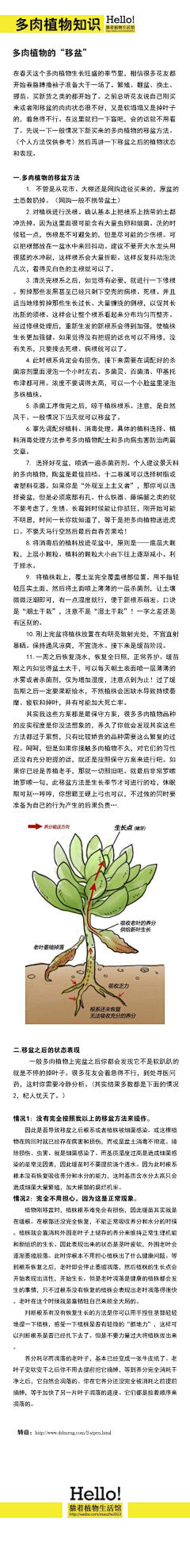 小幺儿amp;子君采集到盆栽种植技巧