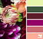 flora palette