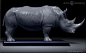 white_rhino_flesh_render_1024x1024.jpg (925×574)