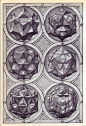 几何美学（Perspectiva Corporum Regularium） | Wenzel Jamnitzer（1568）