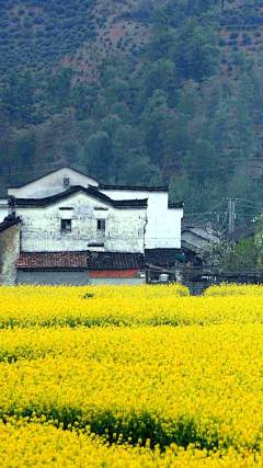 悠扬的云采集到风景