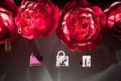 橱窗设计__蜂讯网采集到Dior迪奥玫瑰花夏季巴黎櫥窗