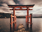 Torii Gate, Japan