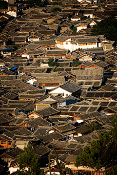 陆麓的路采集到陆麓的路