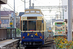 咲ちゃん采集到日系