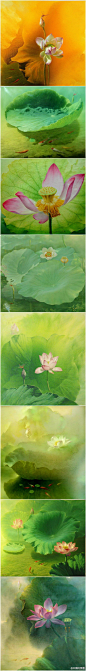 中国水彩画欣赏——《夏荷》
