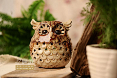 苍太溪采集到owl