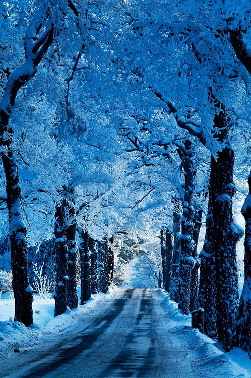 Blue Snow Road, Stoc...