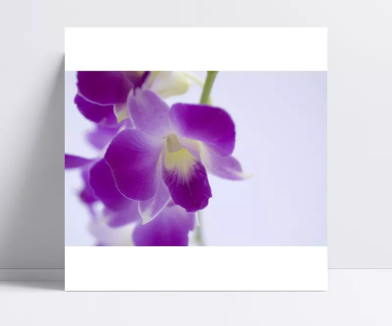 832def654fce9ef39023ce815f640a0d21019d032826-jcxKCp