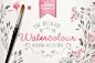 Watercolor wedding collection vol 1 - Illustrations - 1