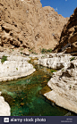 clear-blue-water-in-the-canyon-of-wadi-shab-hajar-ash-sharqi-mountains-BE73J4.jpg (863×1390)