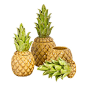 Ceramic Pineapple Canisters - DWBH Homewares - Stand: LL29