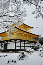 Kinkakuji Temple in snow.: