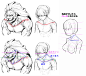 「肩の違和感と修正法：鎖骨と肩甲骨（骨）をベースにした肩の基本」/「漫画素材工房」の漫画 [pixiv]
