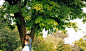 安纳西湖 - 最美外景 - 古摄影婚纱艺术-古摄影成都婚纱摄影艺术摄影网