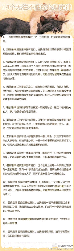 陈晓默采集到牛逼的东西