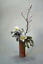 Ikebana　Japanese flower arrangement 生け花