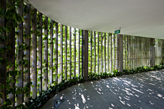 图加加景观设计采集到垂直绿化